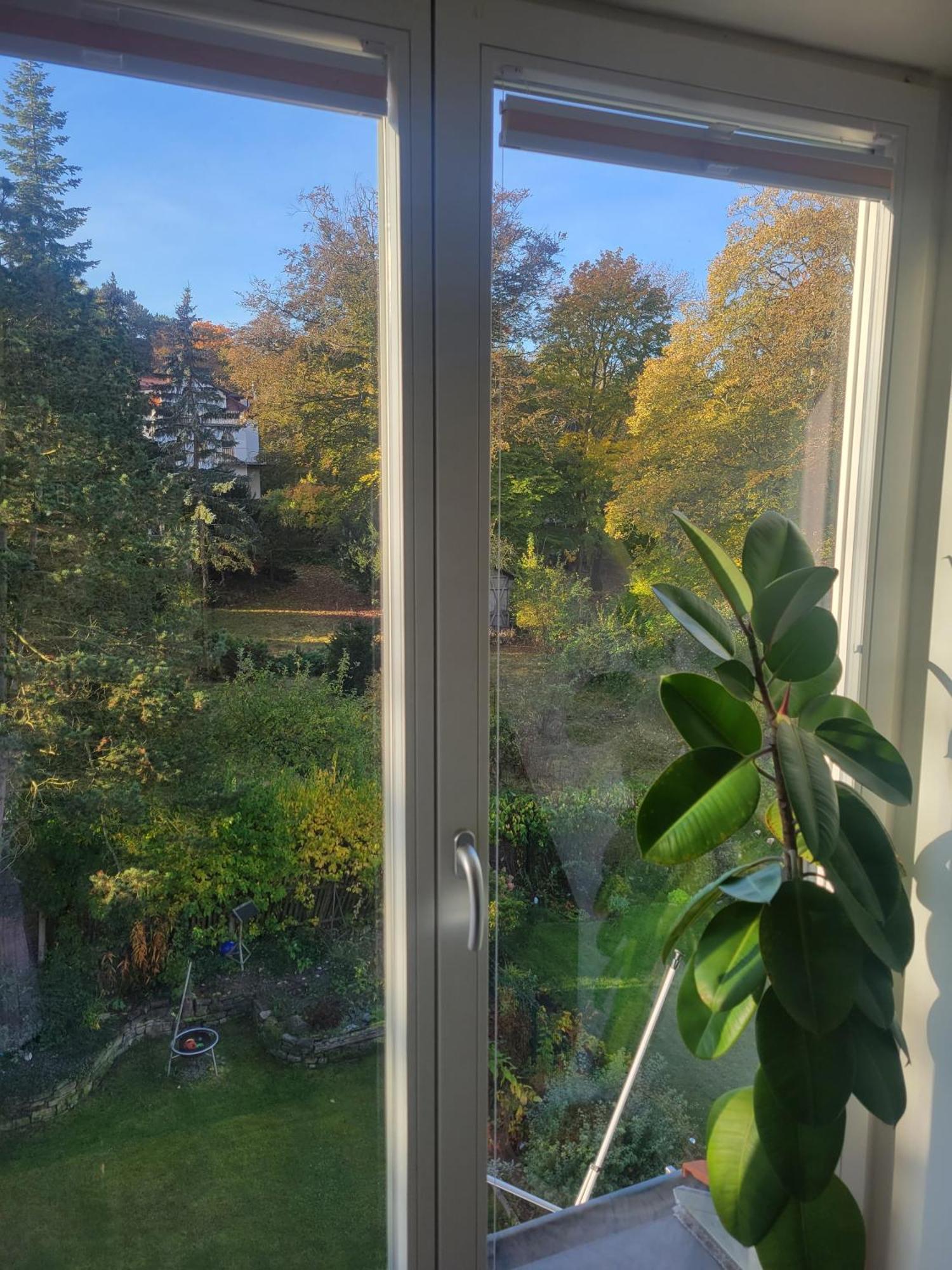 Apartament Wohnen Am Steiger In Erfurt Sued Zewnętrze zdjęcie